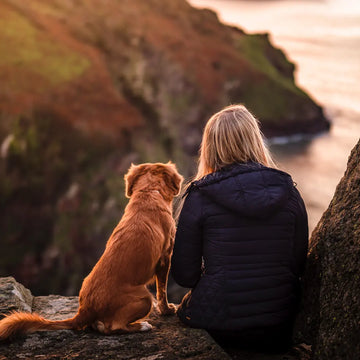 Travel Essentials for Your Dog 2023