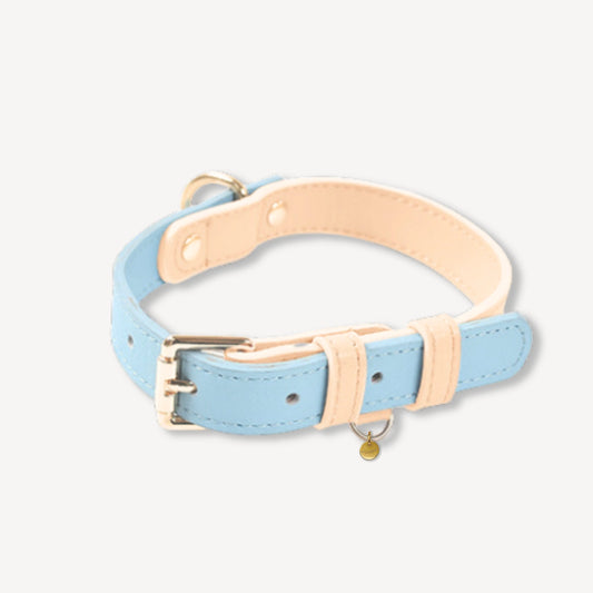 Beau Blue Dog Collar