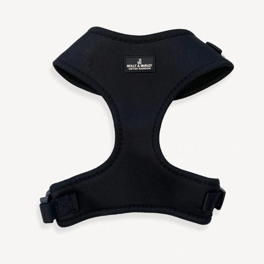 Black Midnight Dog Harness