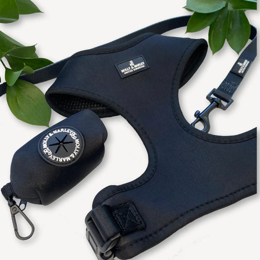 Black Midnight Dog Harness