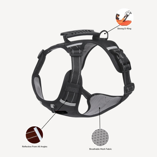 Hunter Harness - Black