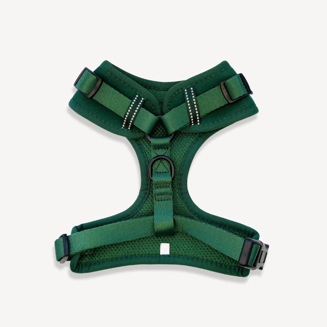 Green Dog Harness Soft Adjustable Dog Harnesses Molly