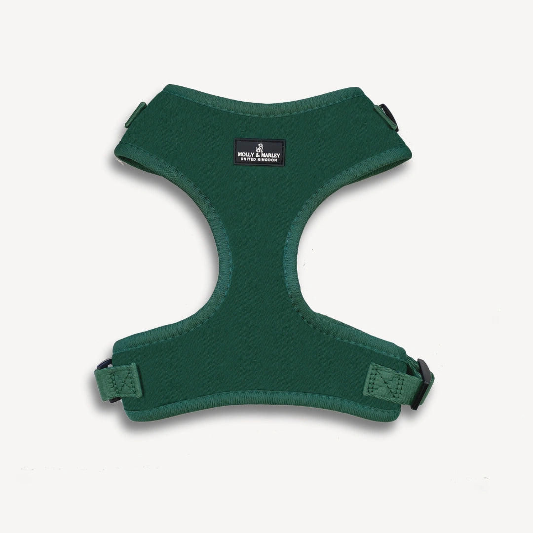Dog hot sale kingdom harness
