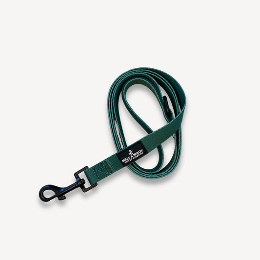 Dark Green Dog Lead