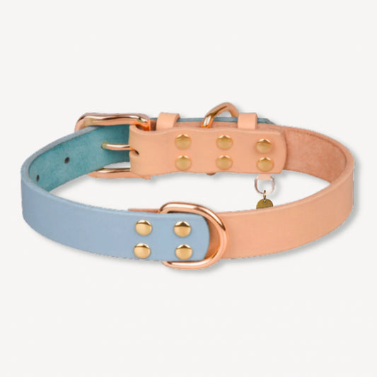 Jax Collar - Blue