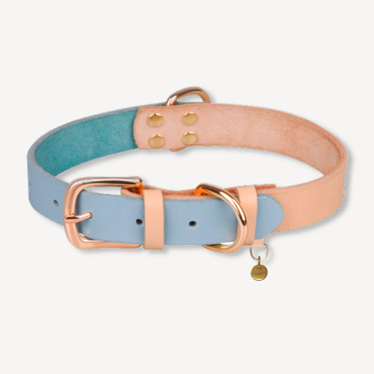 Blue Leather Dog Collar