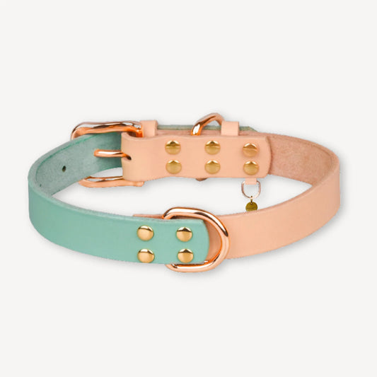 Jax Collar - Turquoise