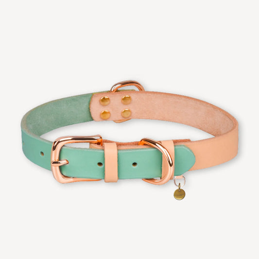Jax Collar - Turquoise