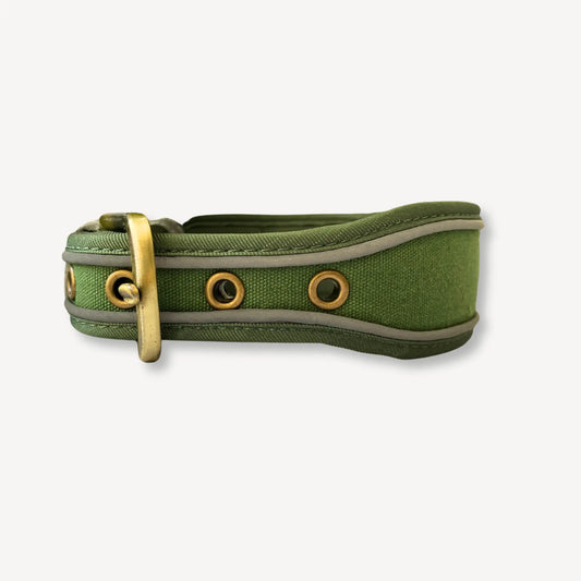 Lex Large Dog Collar - Green