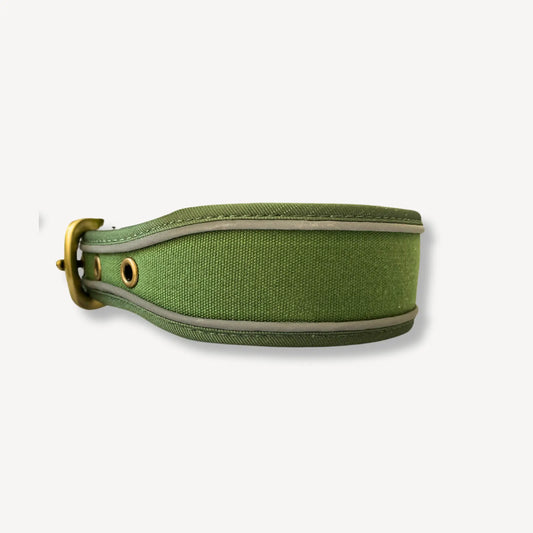 Lex Large Dog Collar - Green