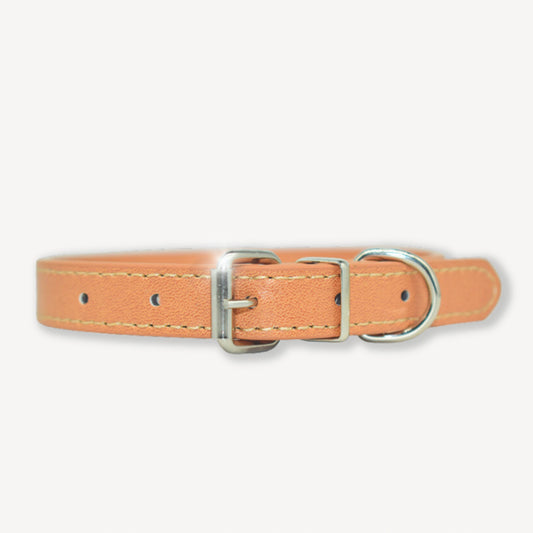 Dog Collar - Beige