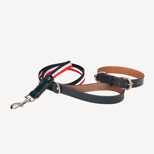 Luxury Leather Collar - Blue