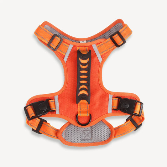 Hunter Harness - Orange