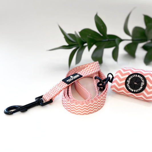 Pink and White Dog Lead