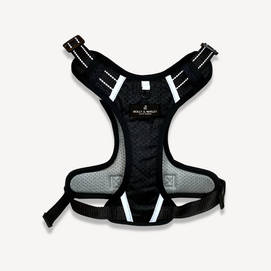 Hunter Harness - Black