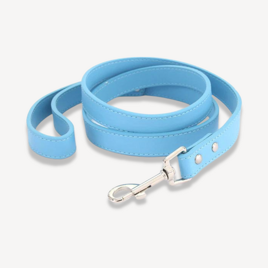 Caesar Lead - Baby Blue