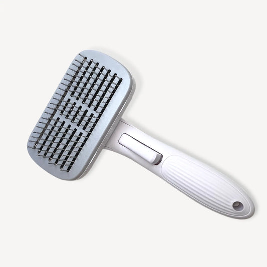 Henry Hairbrush