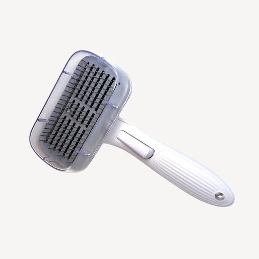 Henry Hairbrush