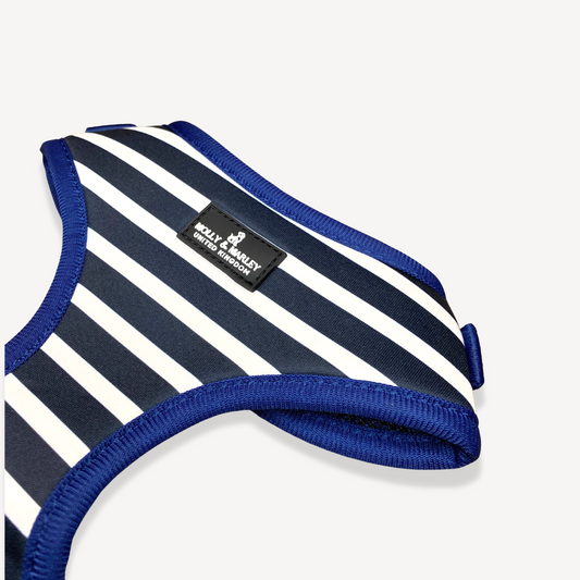 Striped Navy Dog Harness Close up