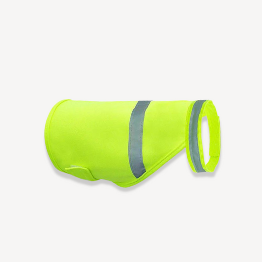 Reflective Hudson Dog Vest