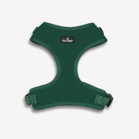 Stylish and Durable Green Dog Harness: The Perfect Accessory for Your Canine Companion