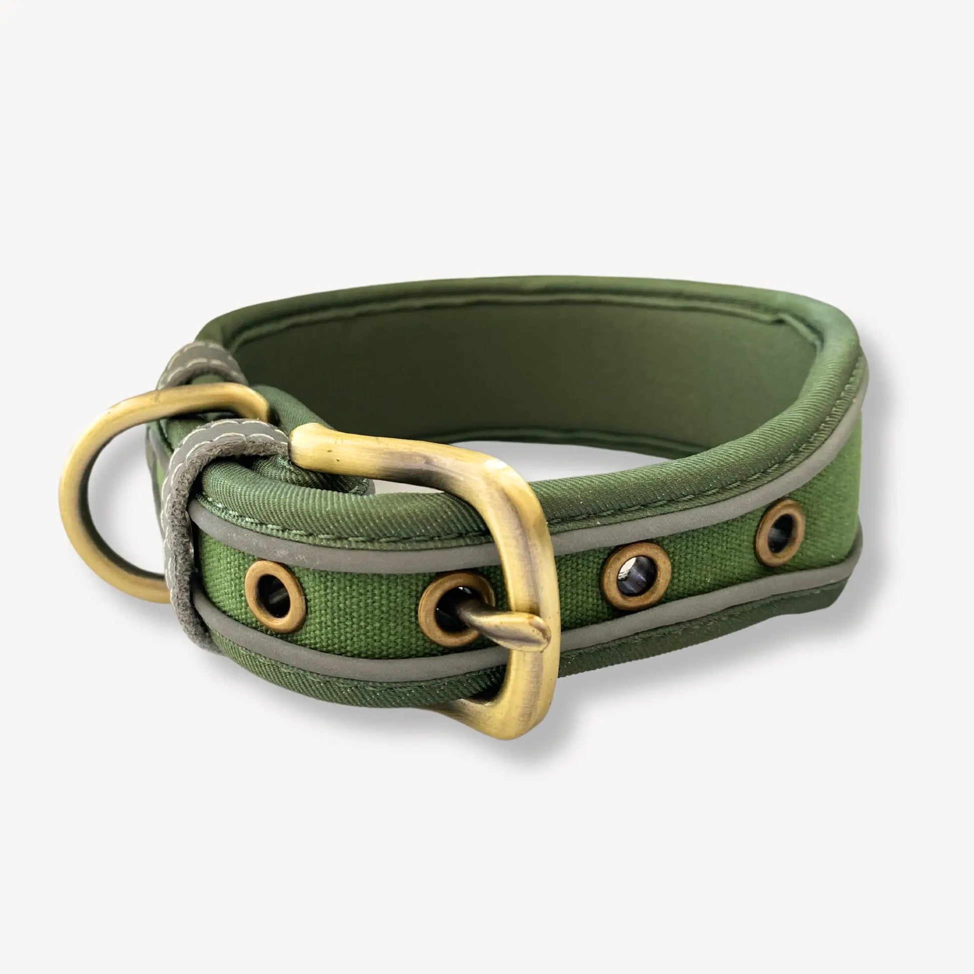 Lex Large Dog Collar - Green