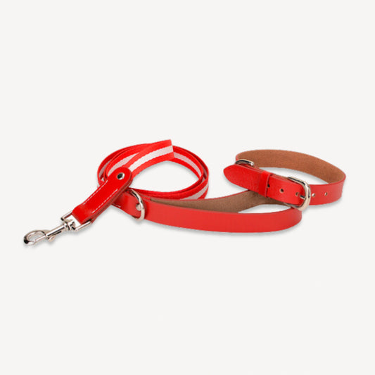 Luxury Striped Dog Lead - Red
