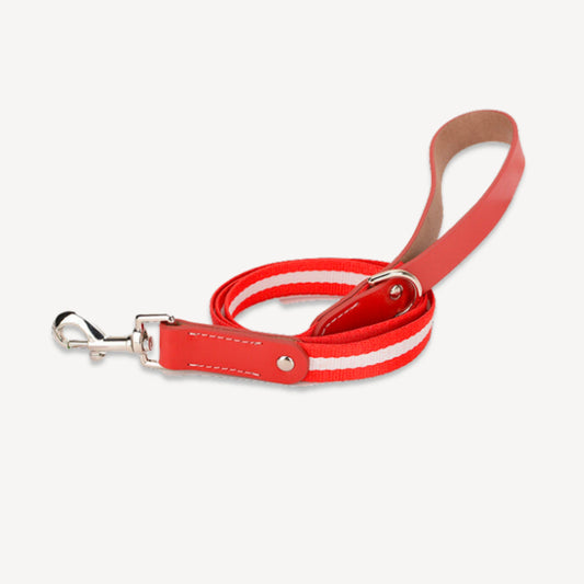 Luxury Striped Dog Lead - Red