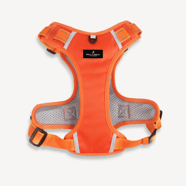 Hunter Harness - Orange