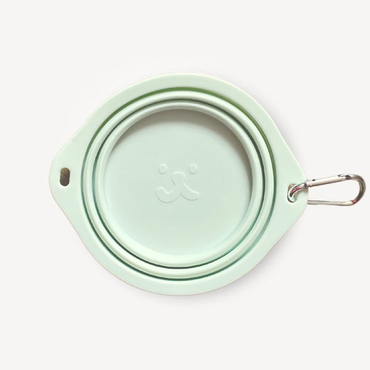 Ted Travel Bowl - Pastel Green