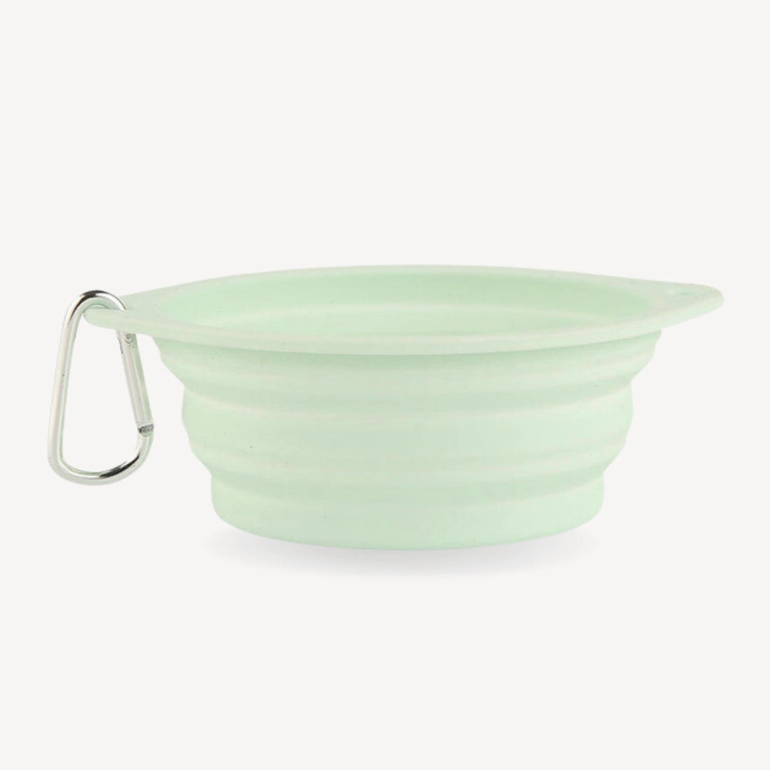 Ted Travel Bowl - Pastel Green