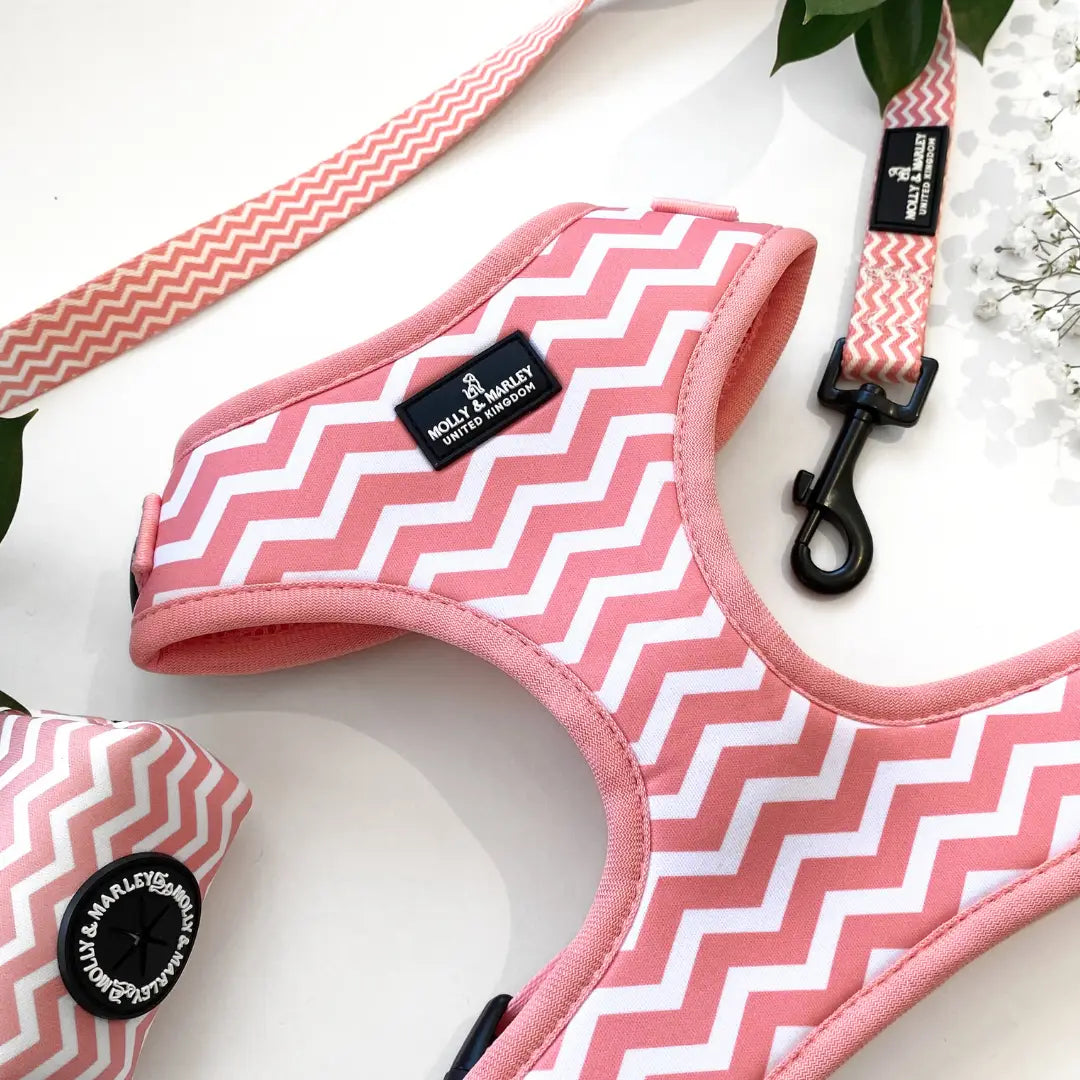 Pink and White Dog Lead