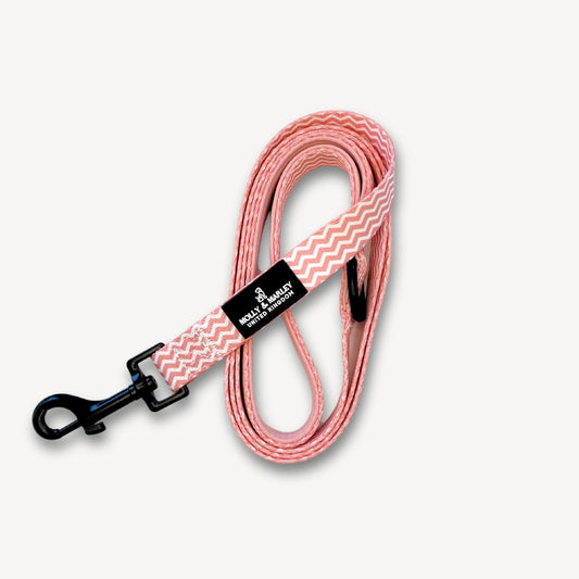 Pink and White Dog Lead