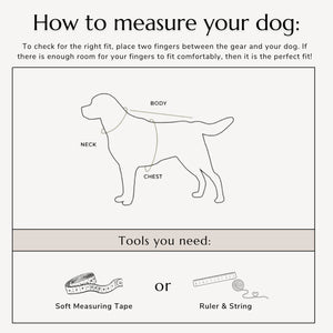 Dog Collar - Beige