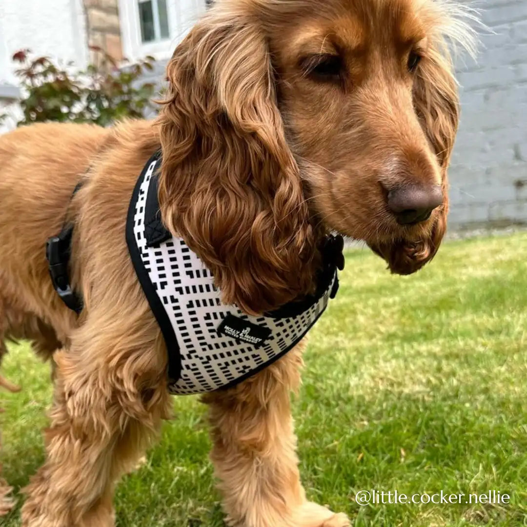 Adjustable Boho Dog Harness Medium Size