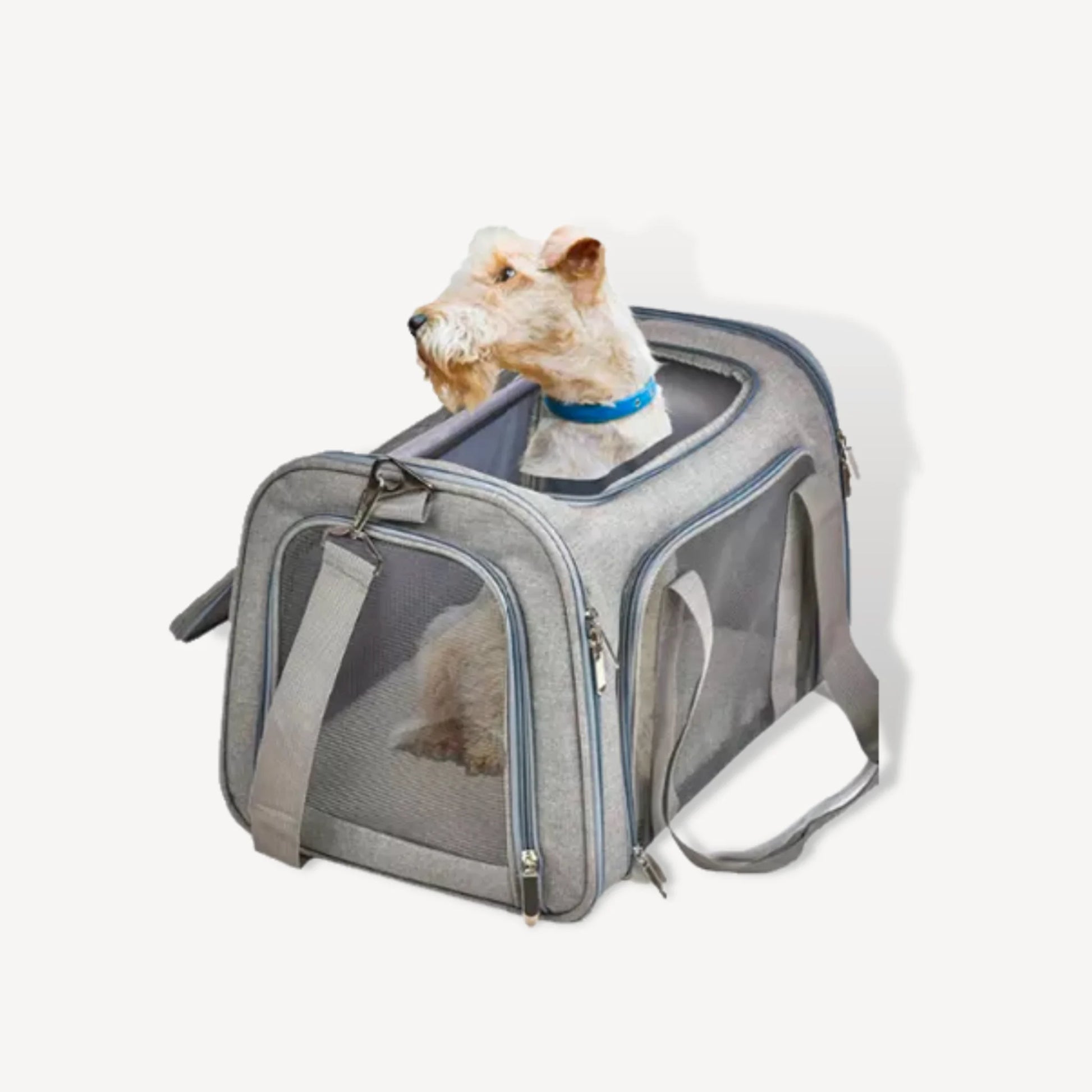 Coco Dog Carrier Grey Airline Approved Dog Carrier Molly Marley Molly Marley
