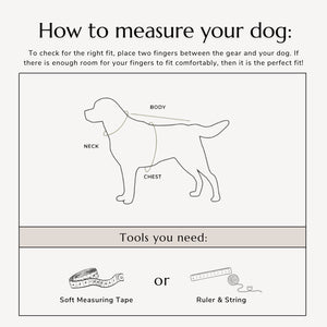 Boho Dog Harness