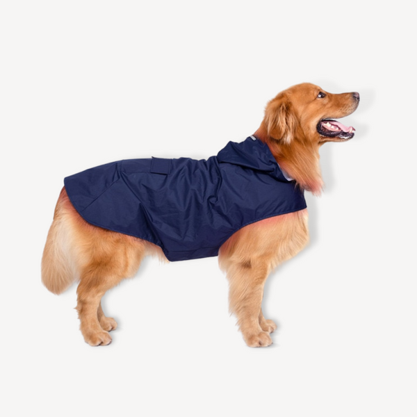 Rex Raincoat